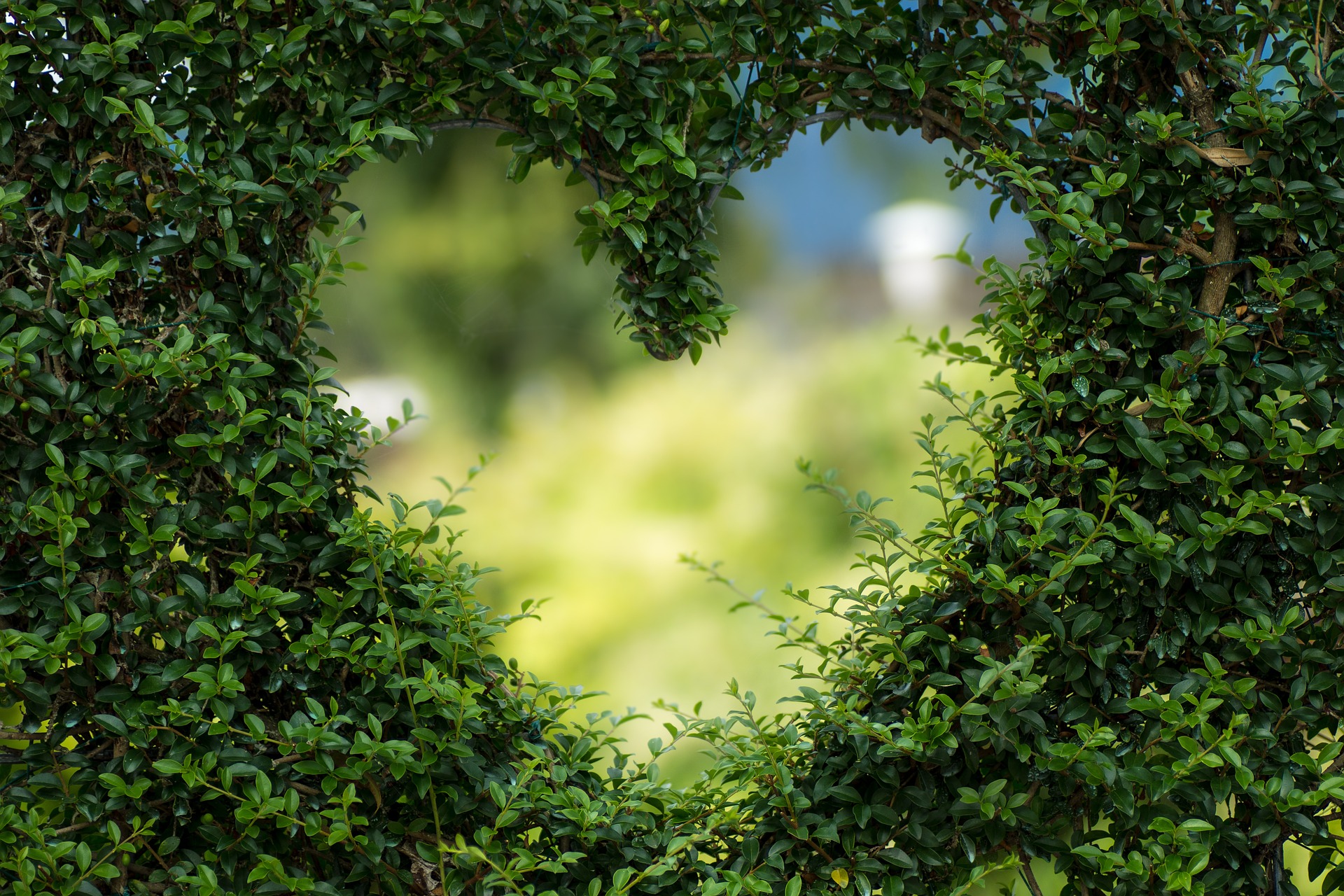 Featured image for “❤️ Comment séduire, attirer les candidatures pour votre entreprise ?”